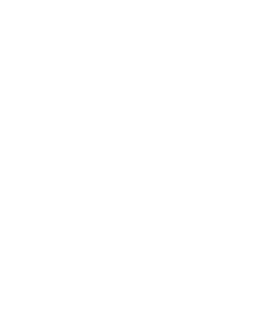 Thierry Jock Consulting Logo